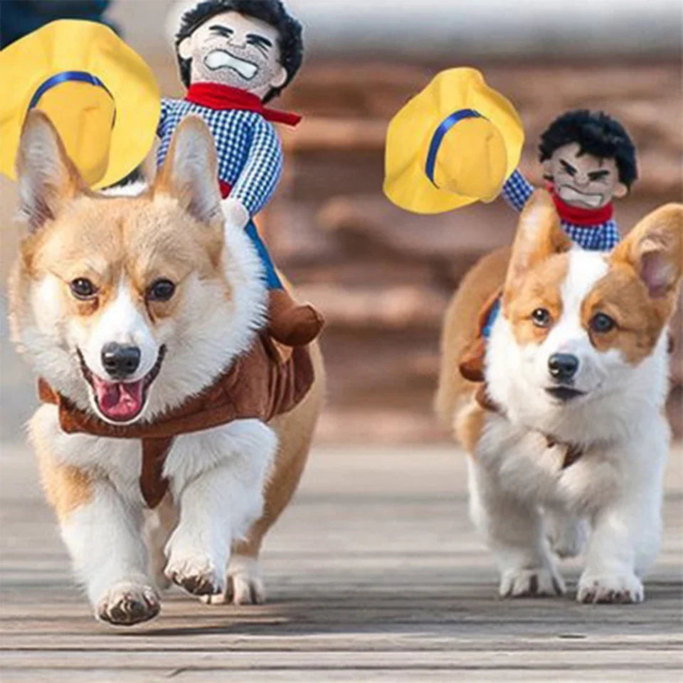 Rodeo Pup Costume