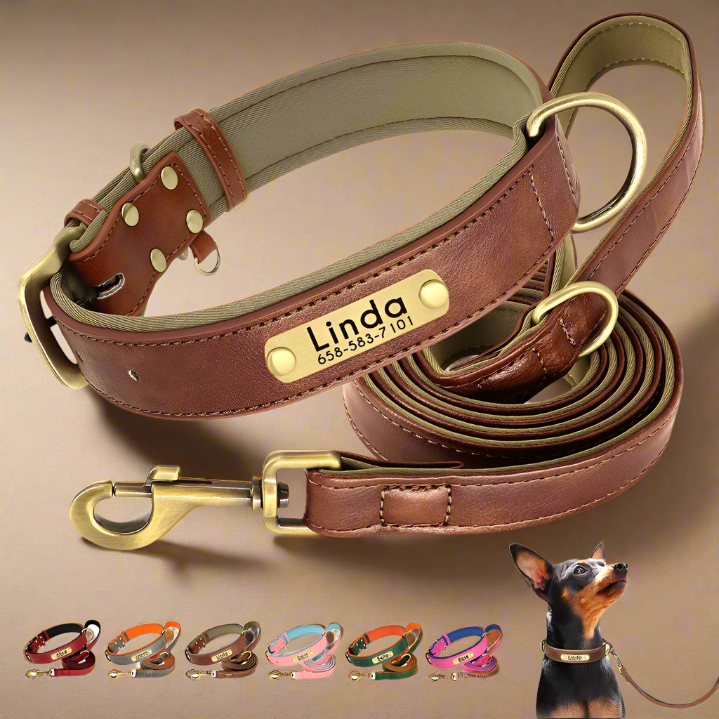 ID LuxStrap