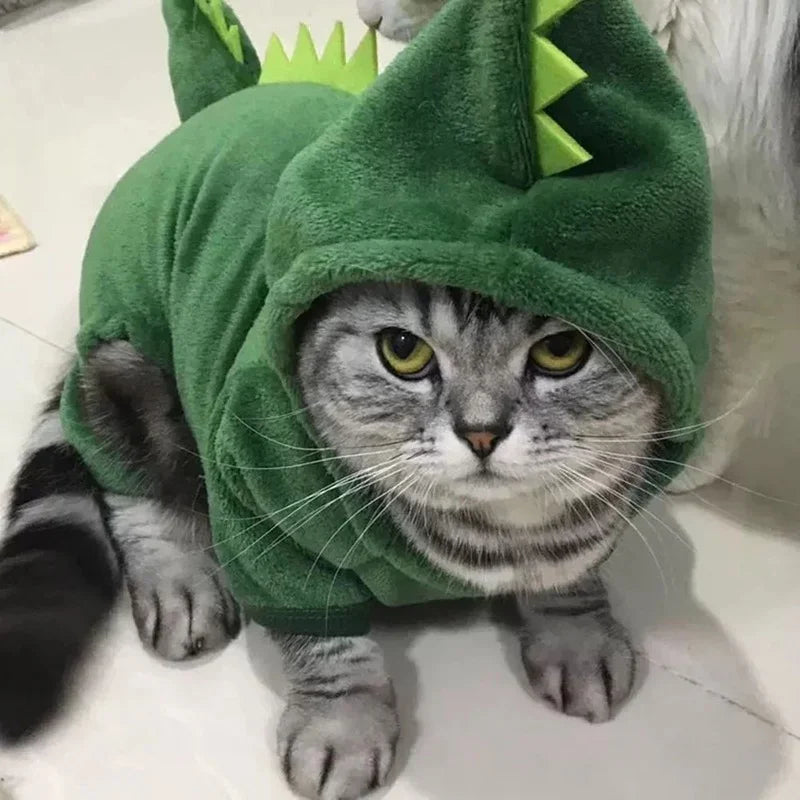 DinoHoodie