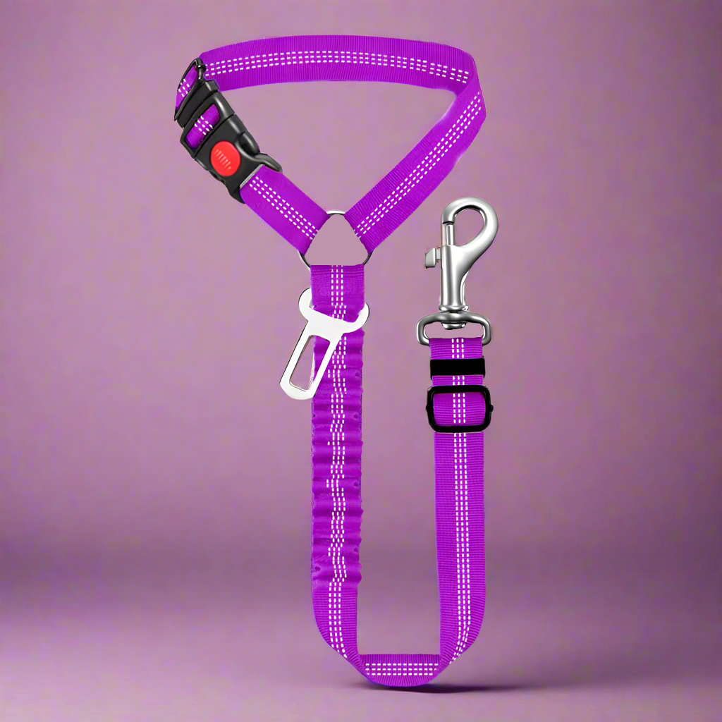 SafePawRide Leash