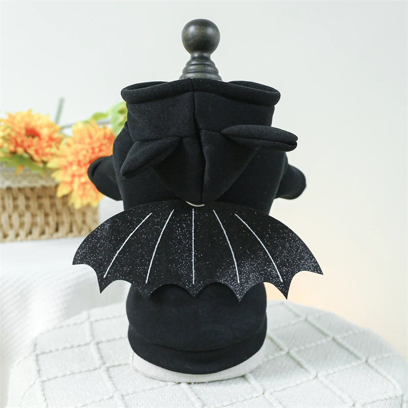 Cute Paws Costume Collection