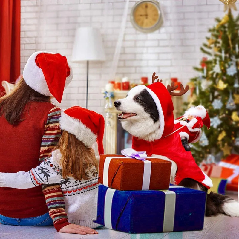 Santa Rider Costume