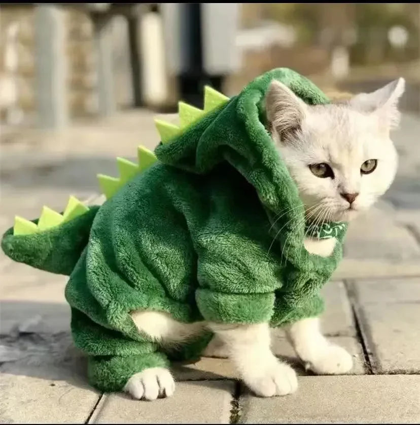 DinoHoodie