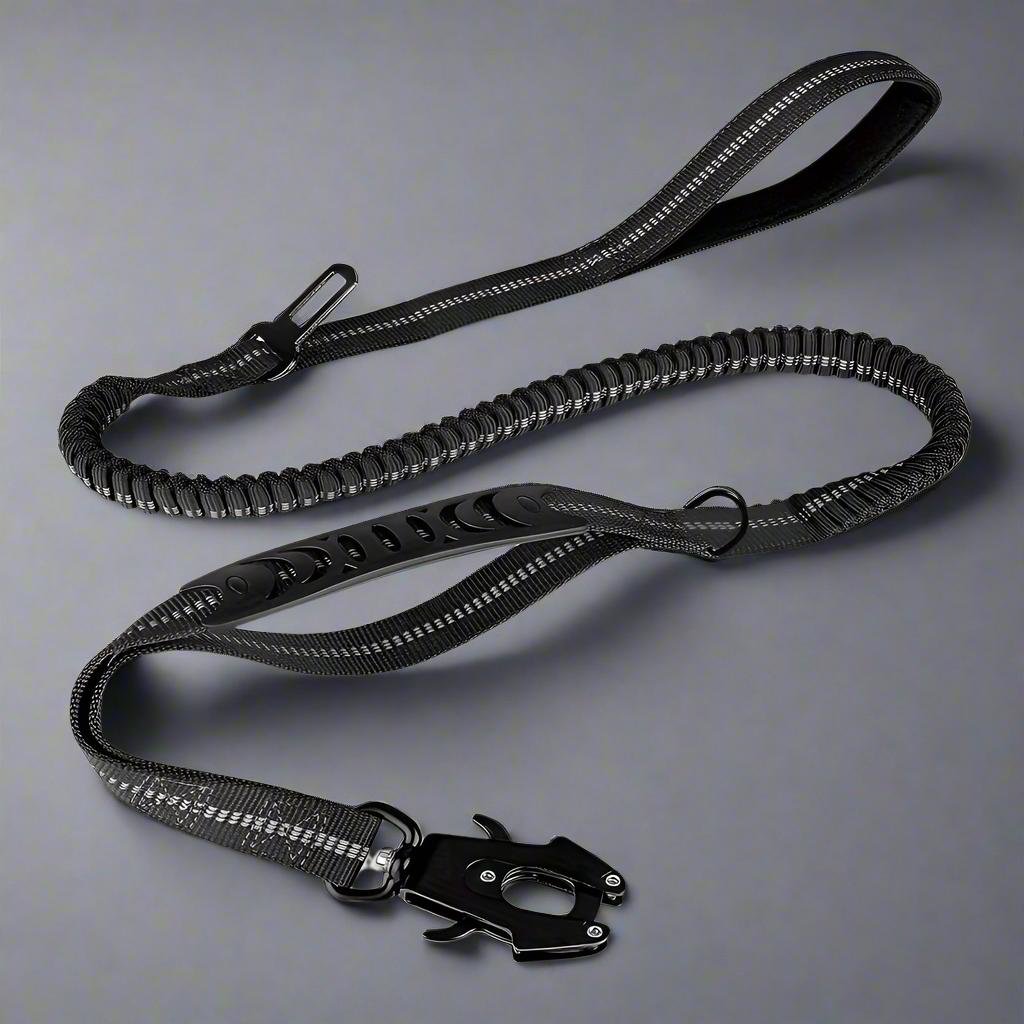 PowerPaw Heavy-Duty Leash