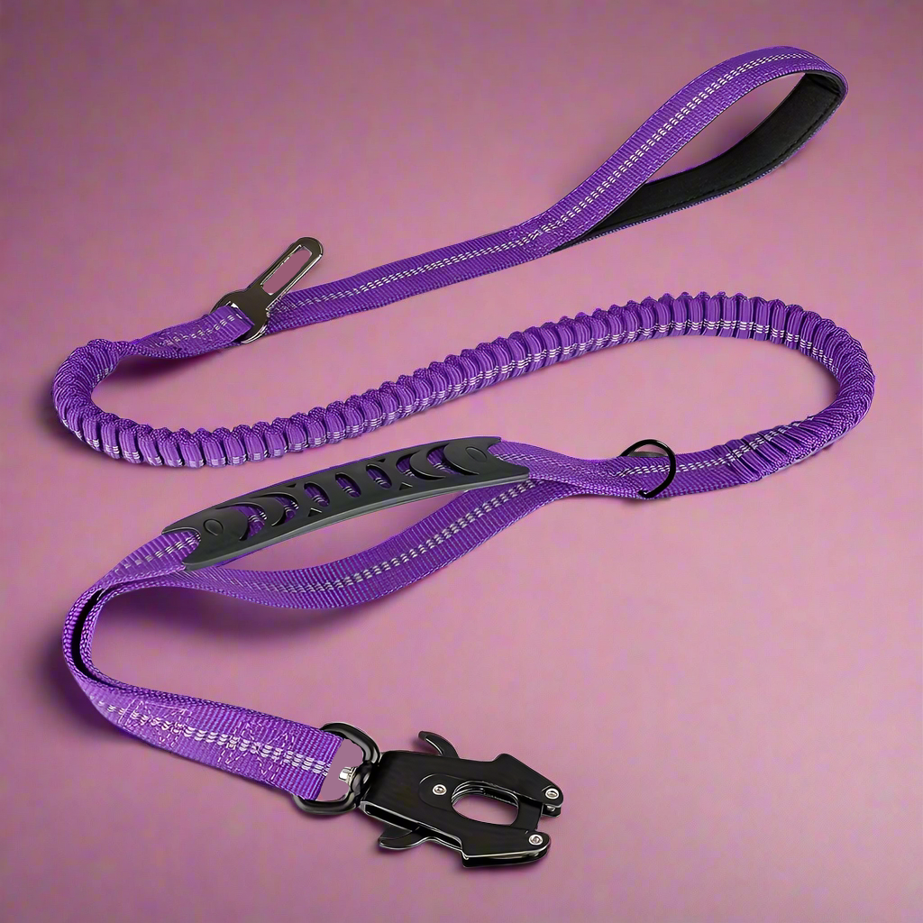 PowerPaw Heavy-Duty Leash