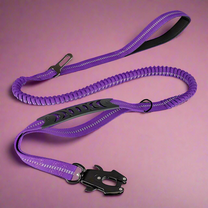 PowerPaw Heavy-Duty Leash