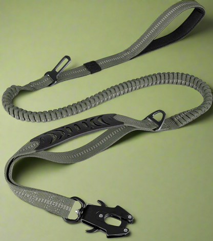 PowerPaw Heavy-Duty Leash