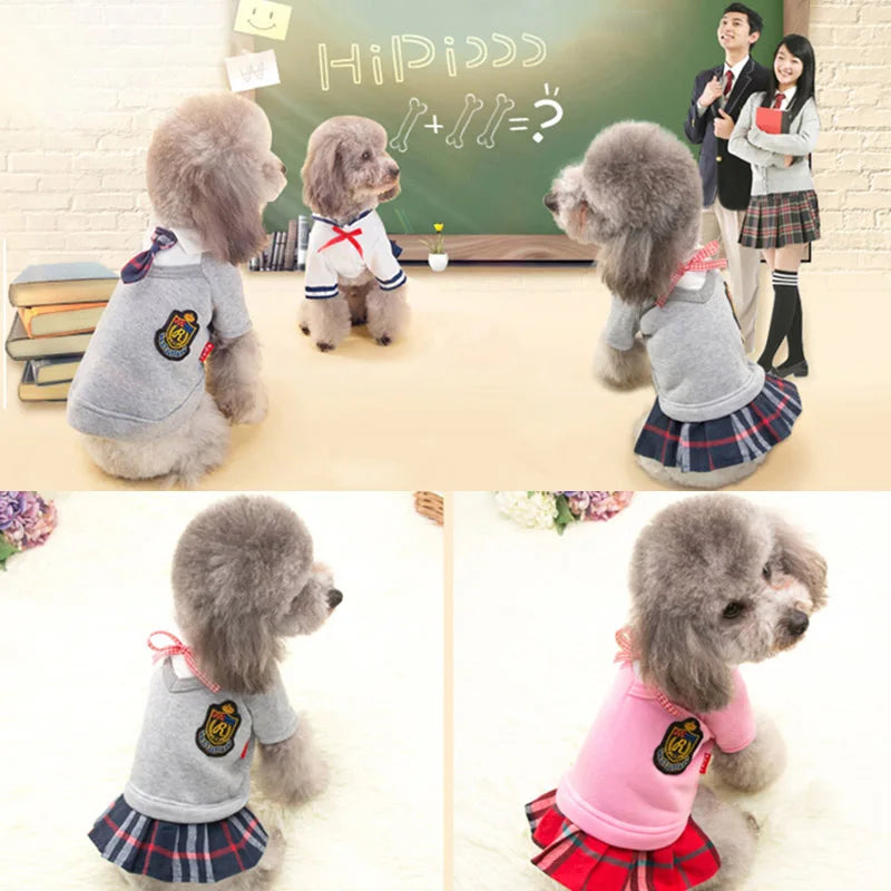 SchoolPaws Uniform
