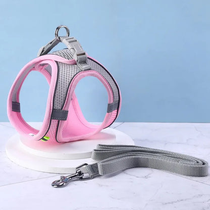 SecureFit Adjustable Harness & Leash Set