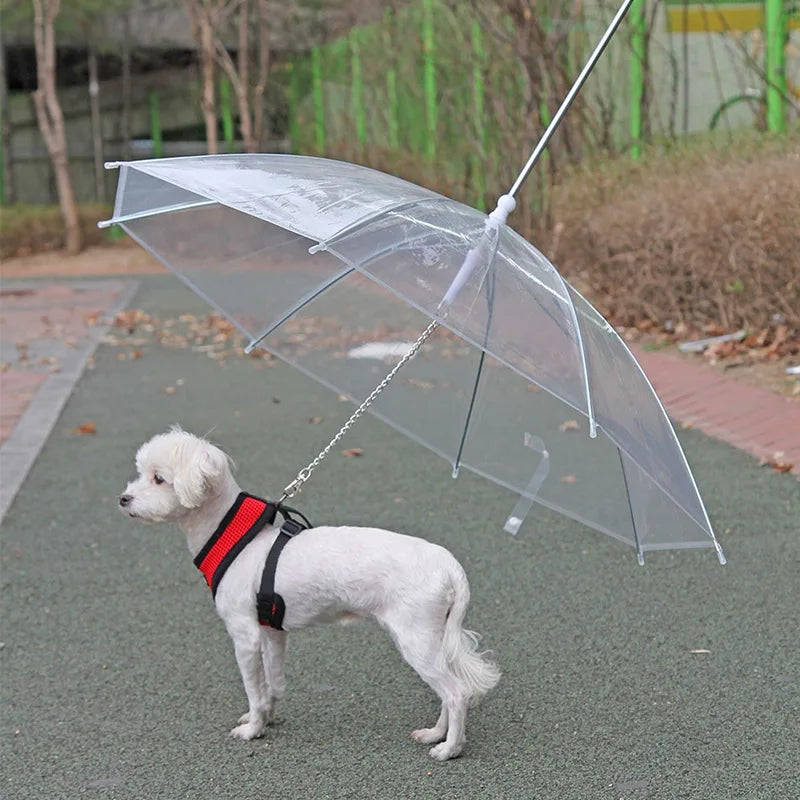 PawBrella Leash