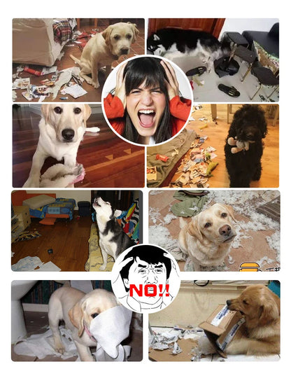 Silly Grin Chew Ball