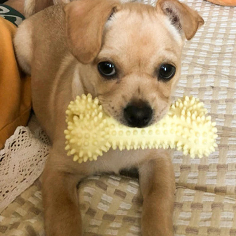 Tooth & Tug Hero Chewing Toy