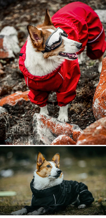 PawsPro Waterproof Jumpsuit