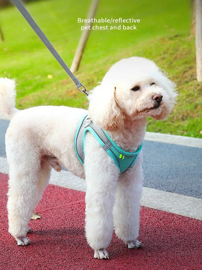 SecureFit Adjustable Harness & Leash Set