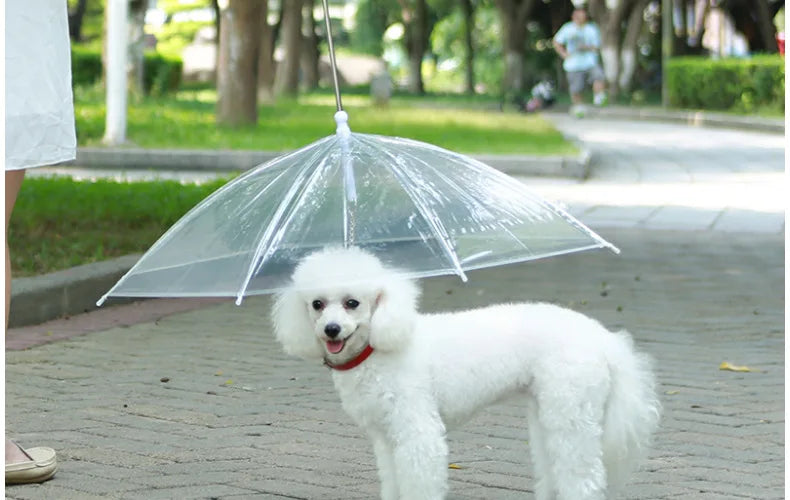 PawBrella Leash