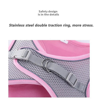 SecureFit Adjustable Harness & Leash Set