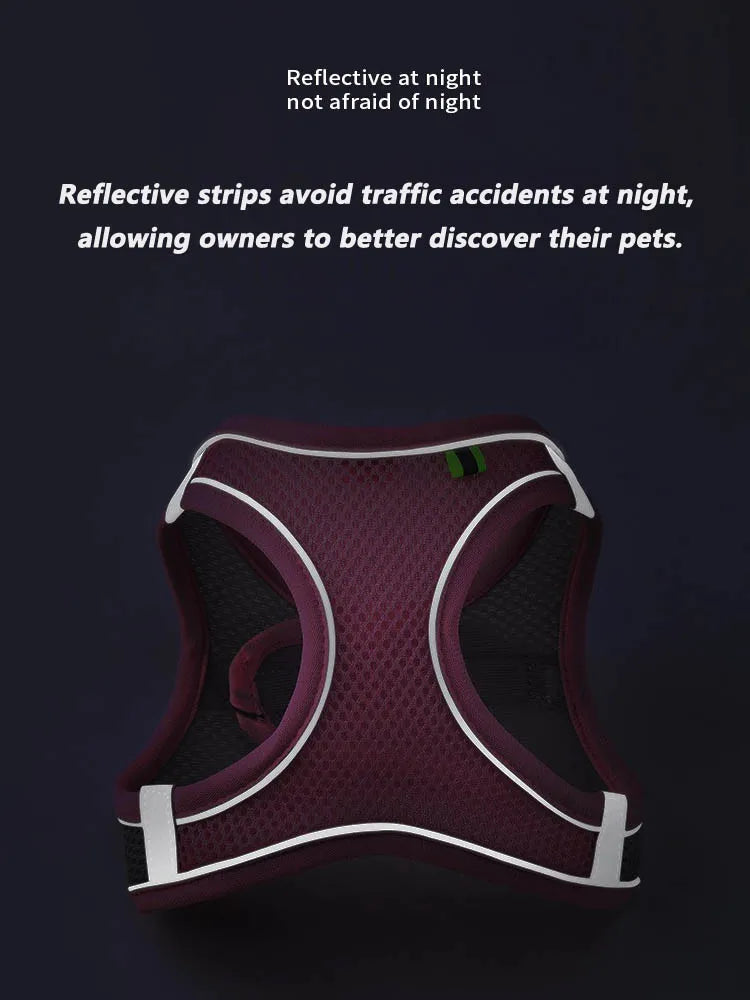 SecureFit Adjustable Harness & Leash Set