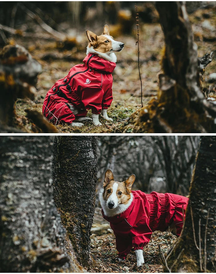 PawsPro Waterproof Jumpsuit