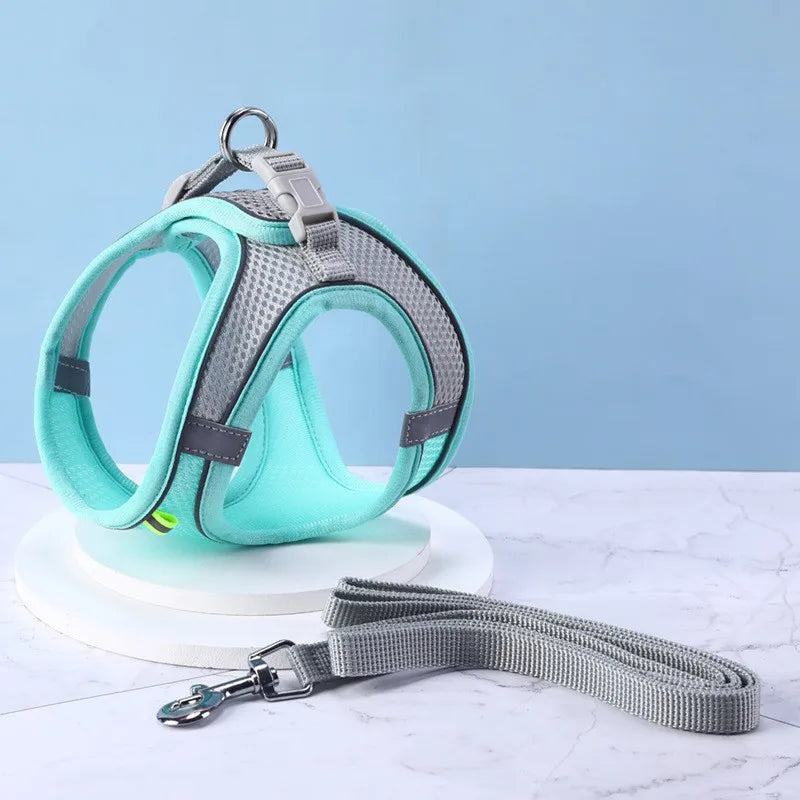 SecureFit Adjustable Harness & Leash Set