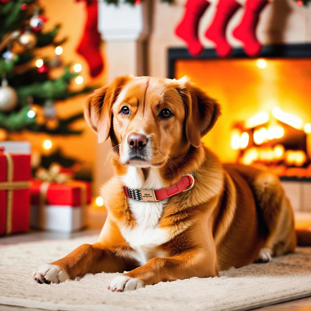 EliteTag Custom Nylon Dog Collar