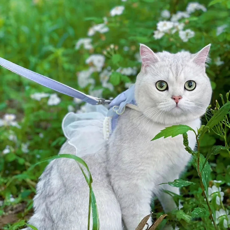 DreamBow Pet Harness & Leash Set