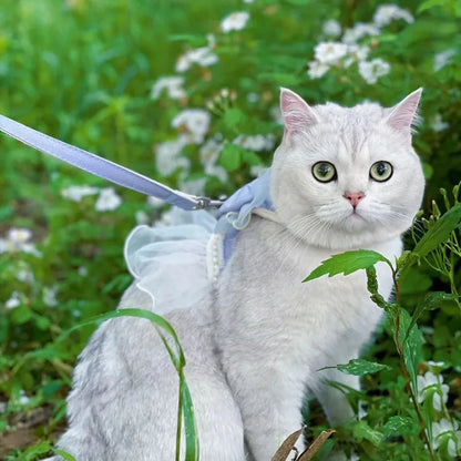 DreamBow Pet Harness & Leash Set