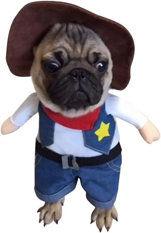 WildWhiskers Cat Cowboy Costume