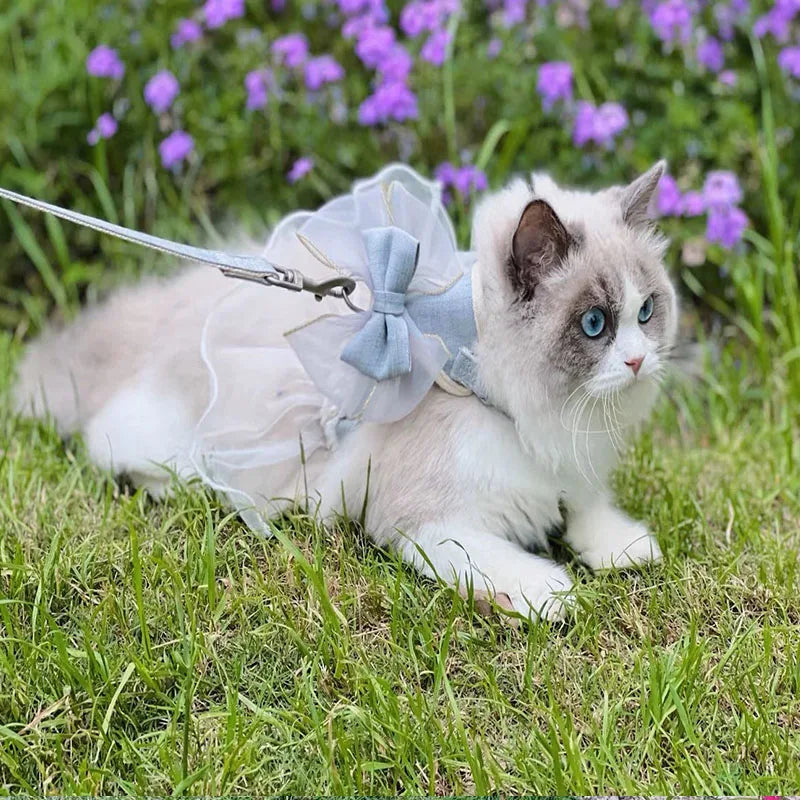 DreamBow Pet Harness & Leash Set