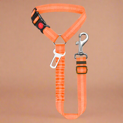 SafePawRide Leash