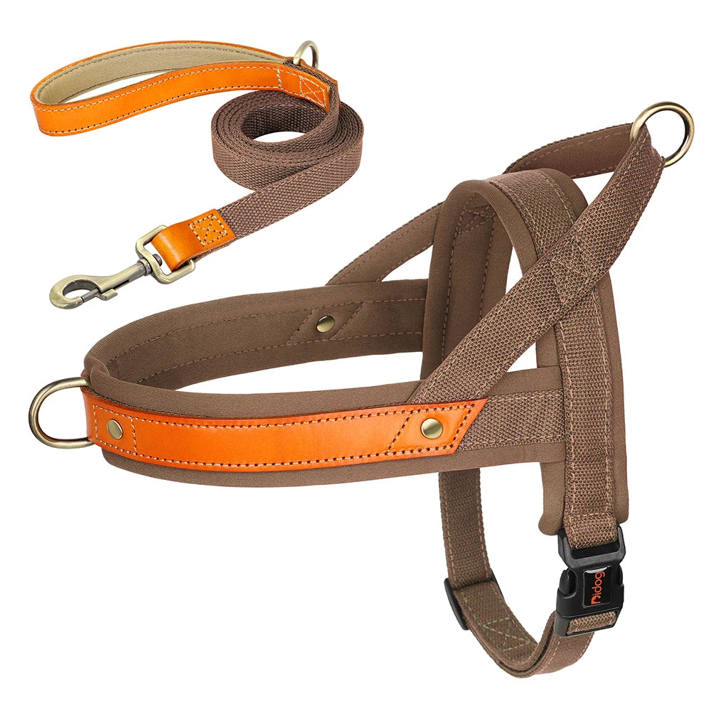 PawFit Nylon Collar, Harness & Leash Set