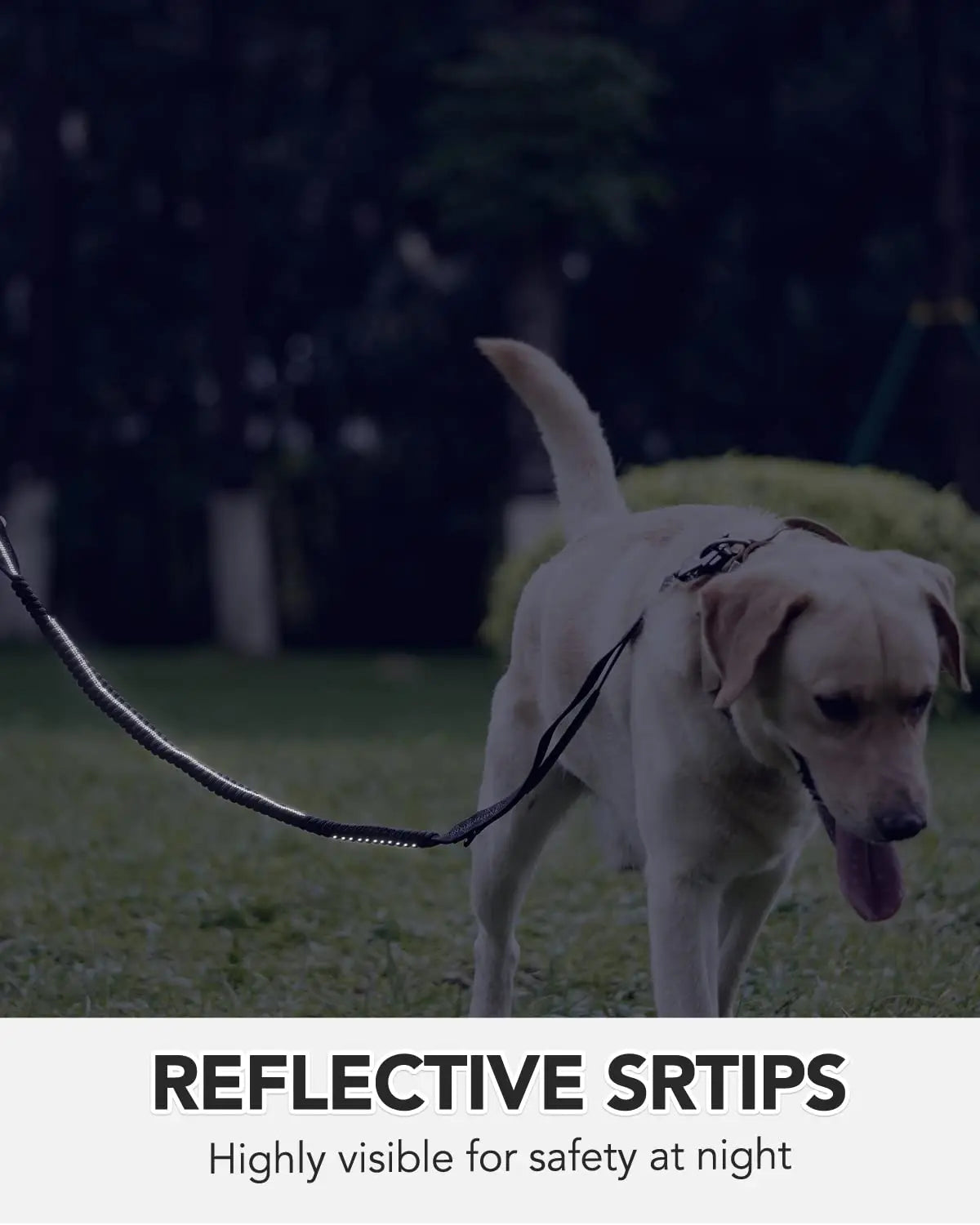 PowerPaw Heavy-Duty Leash