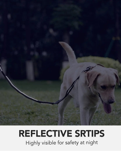 PowerPaw Heavy-Duty Leash