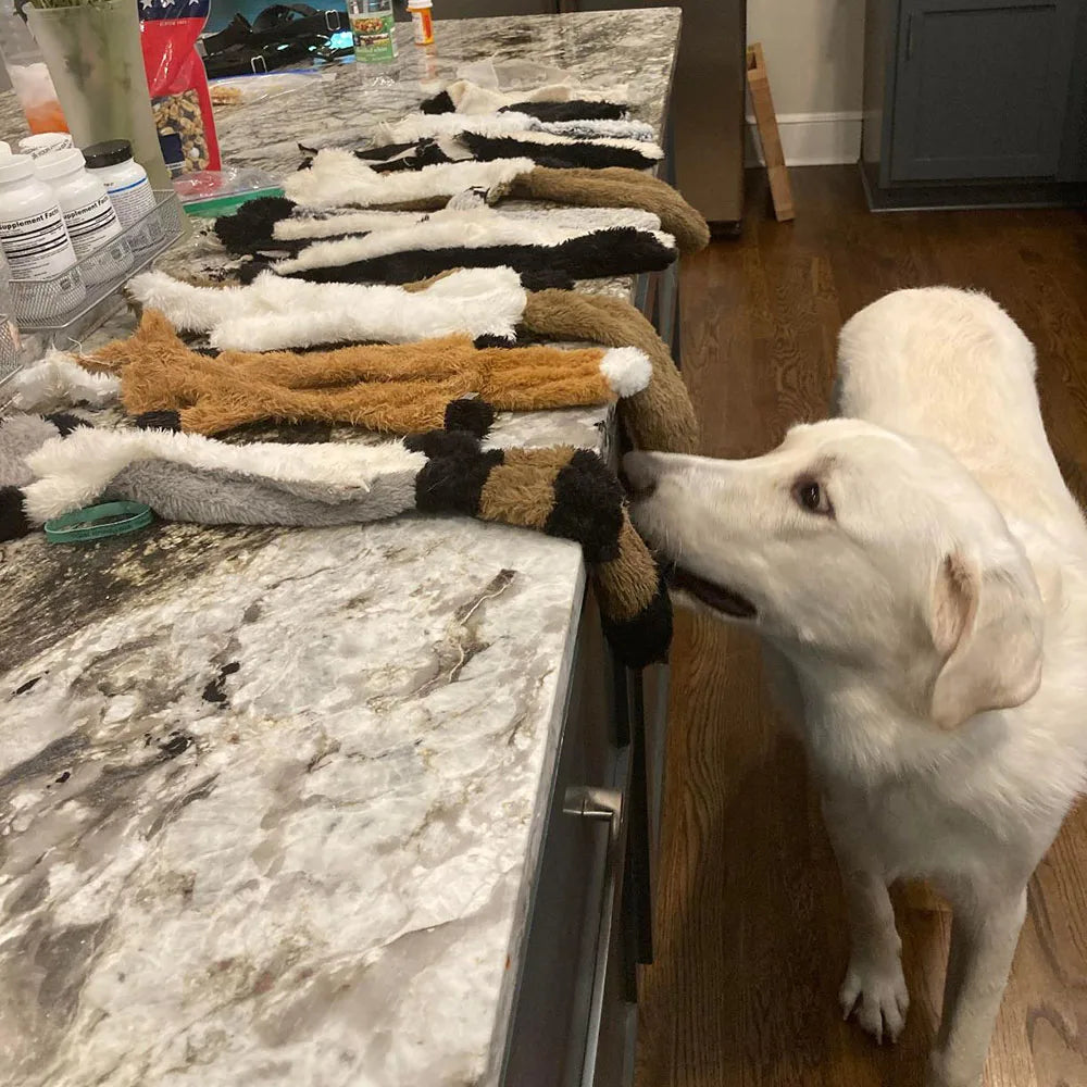 CrinkleCritter Animal Dog Toy