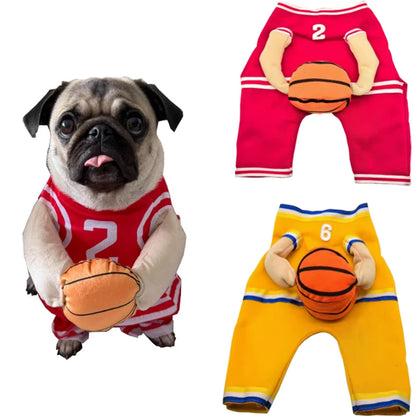 All-Star Dog Costume