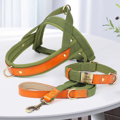 PawFit Nylon Collar, Harness & Leash Set