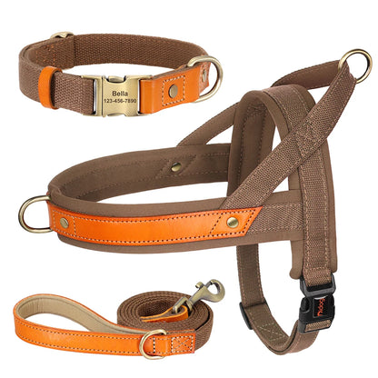 PawFit Nylon Collar, Harness & Leash Set