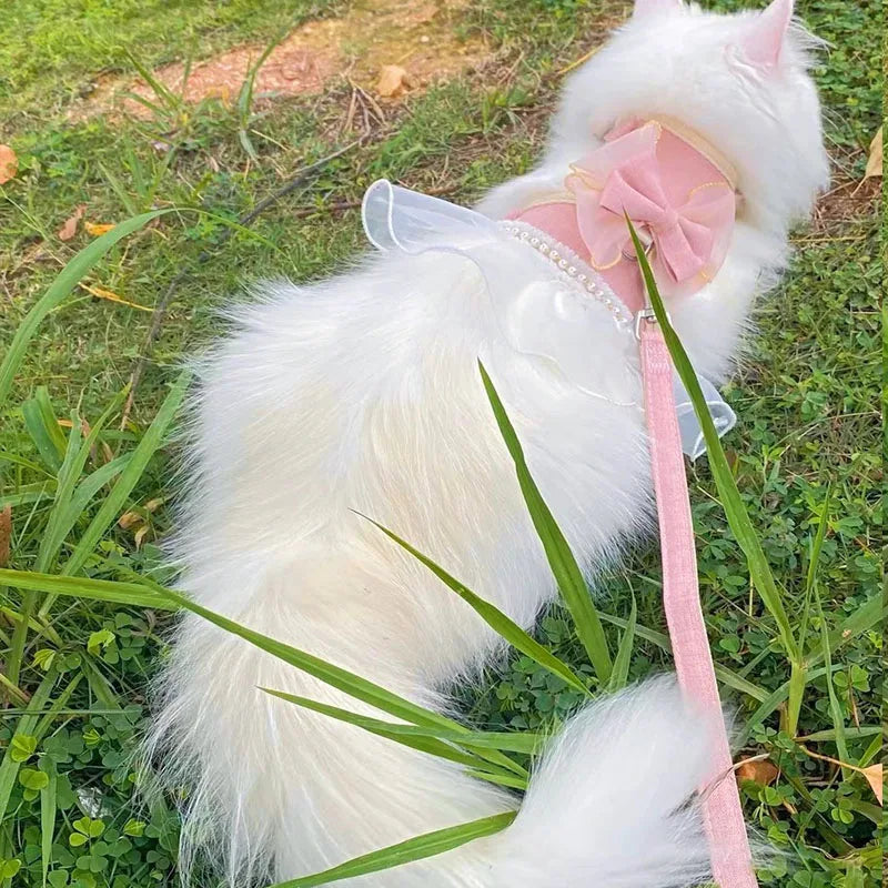 DreamBow Pet Harness & Leash Set