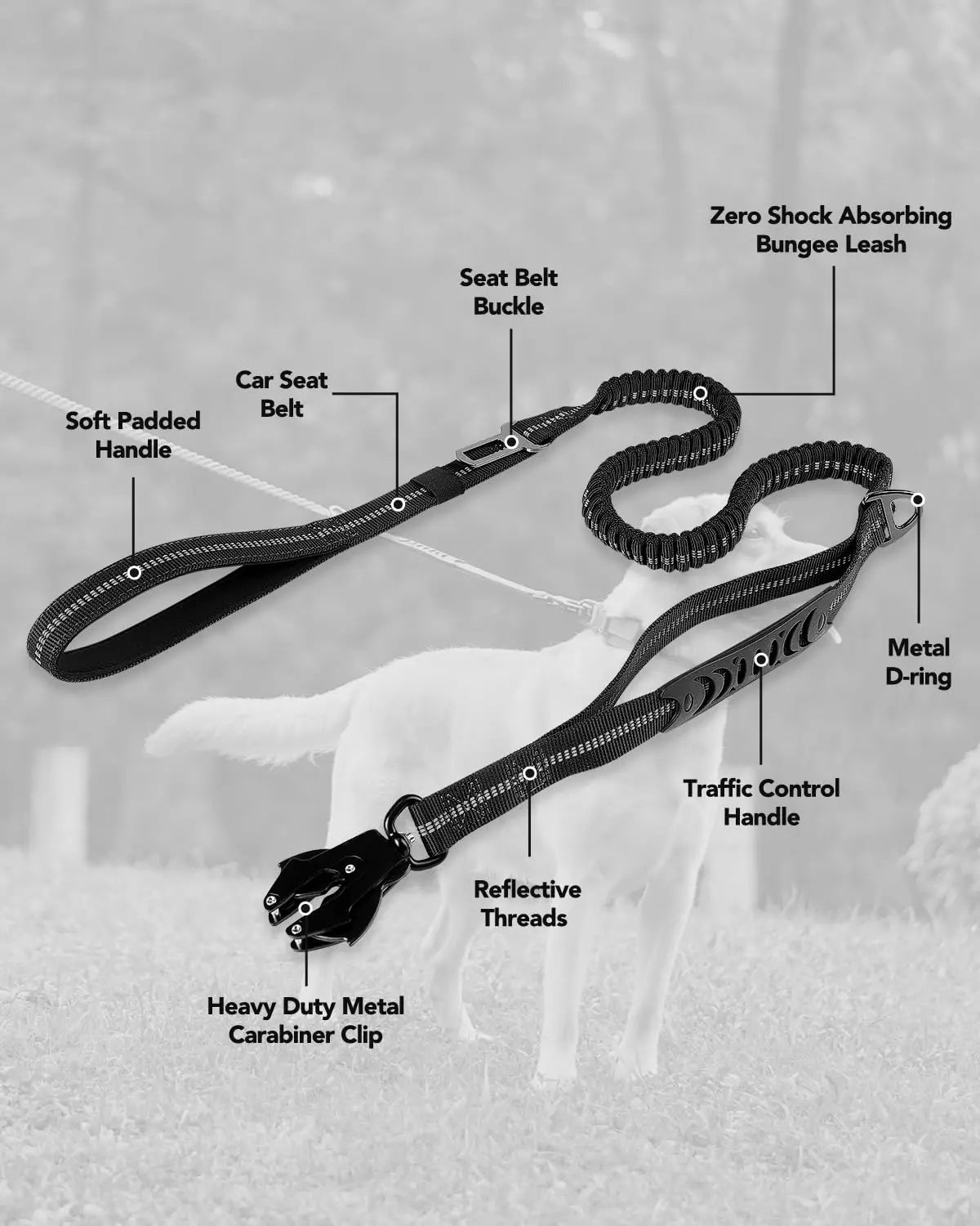 PowerPaw Heavy-Duty Leash