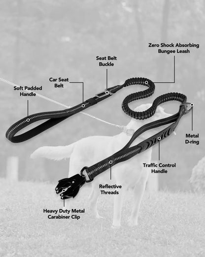 PowerPaw Heavy-Duty Leash