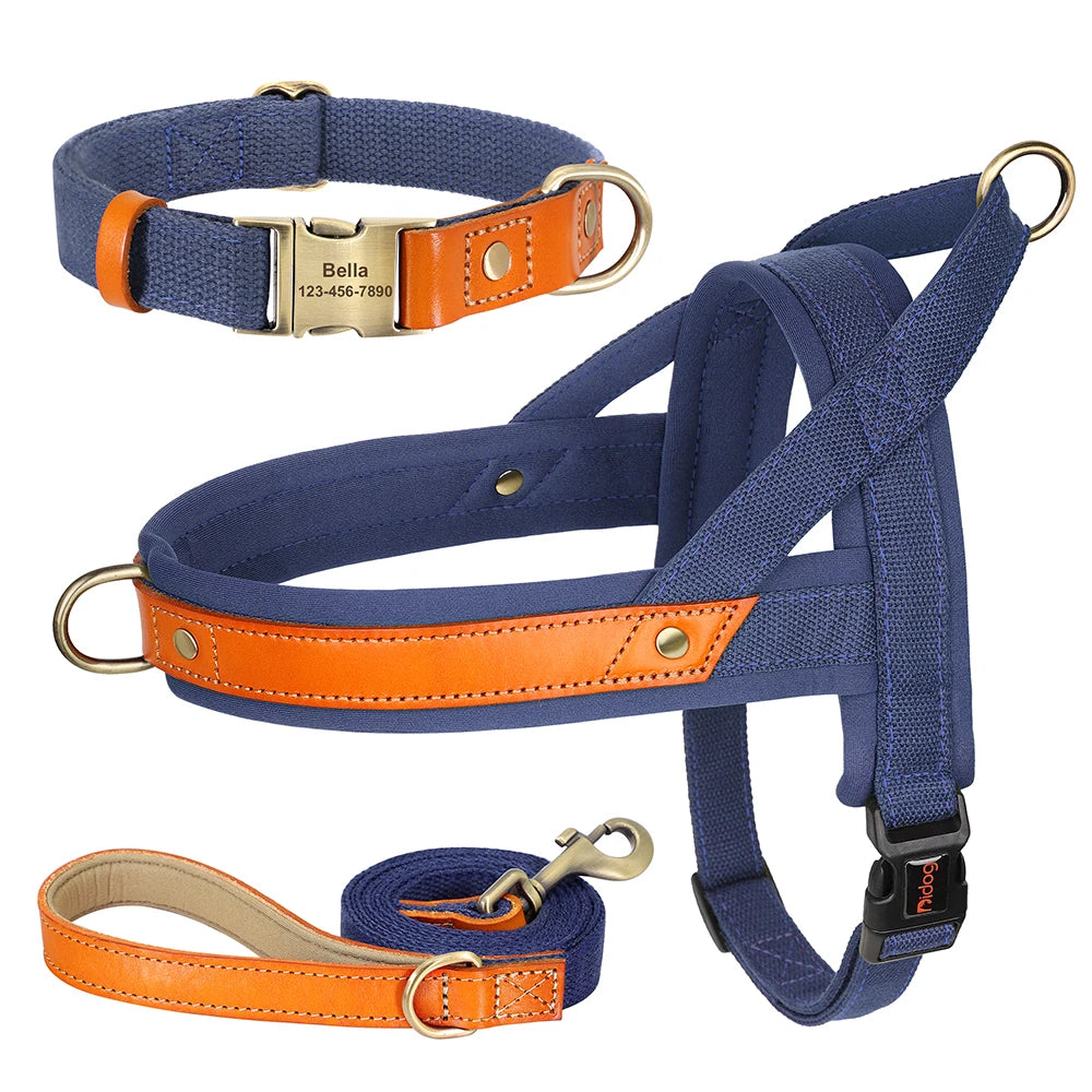 PawFit Nylon Collar, Harness & Leash Set