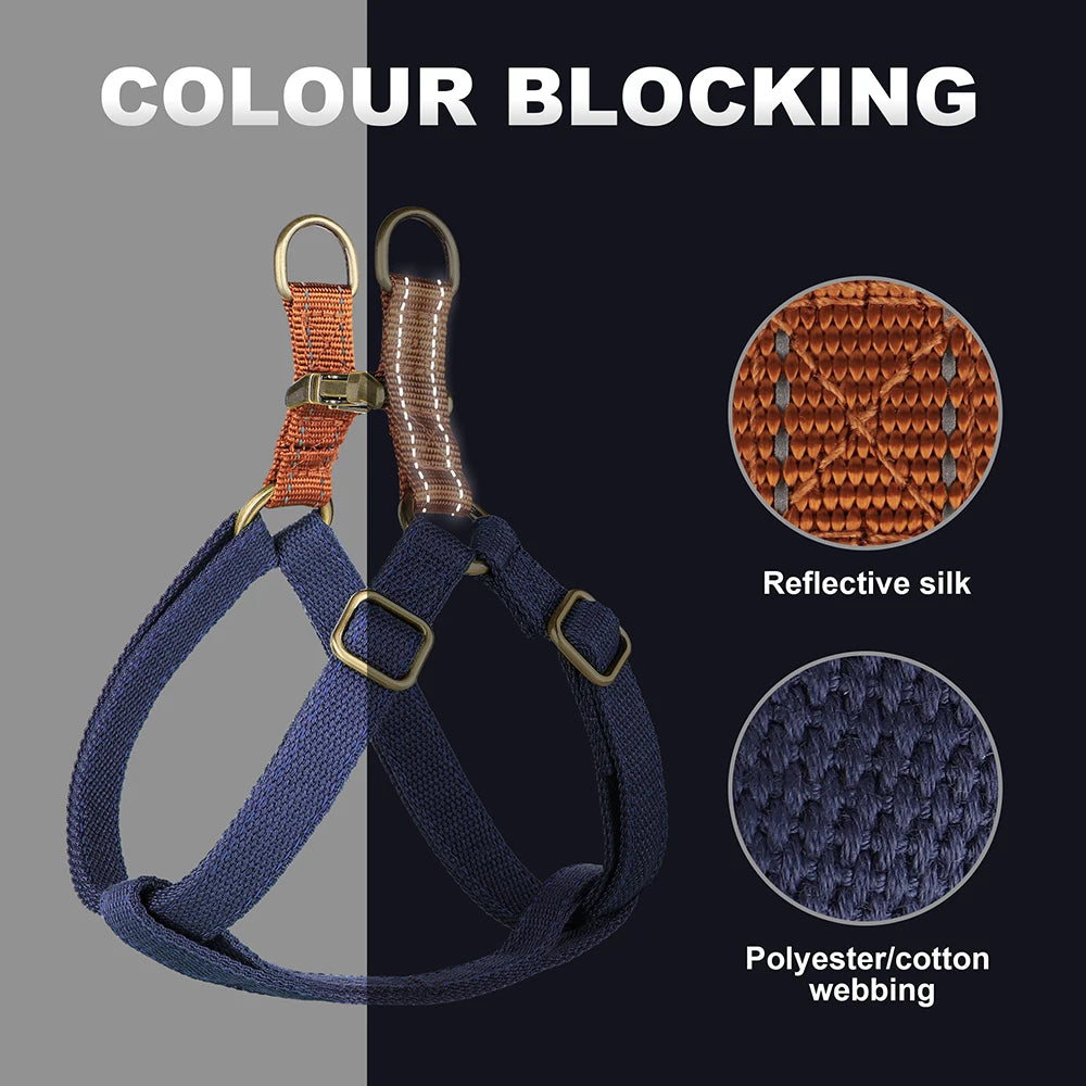 VentureTrail Personalized Reflective Harness