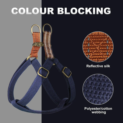 VentureTrail Personalized Reflective Harness