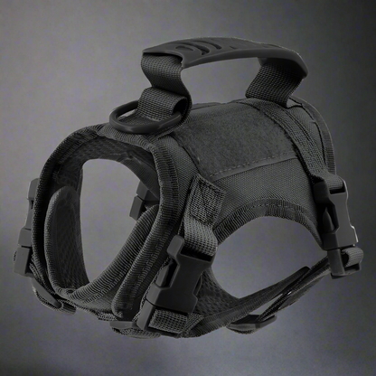 Tactical Cat Harness & Leash Set