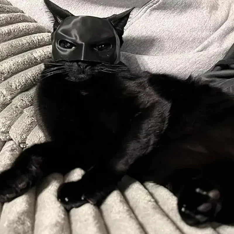 ShadowPaws BatCat Mask