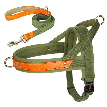 PawFit Nylon Collar, Harness & Leash Set