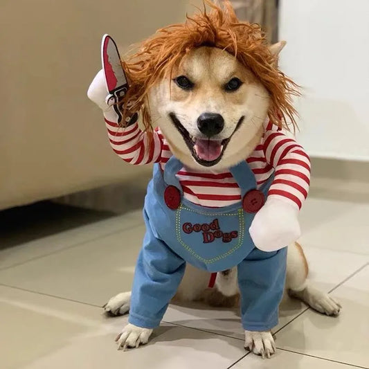 Killer Paw Costume