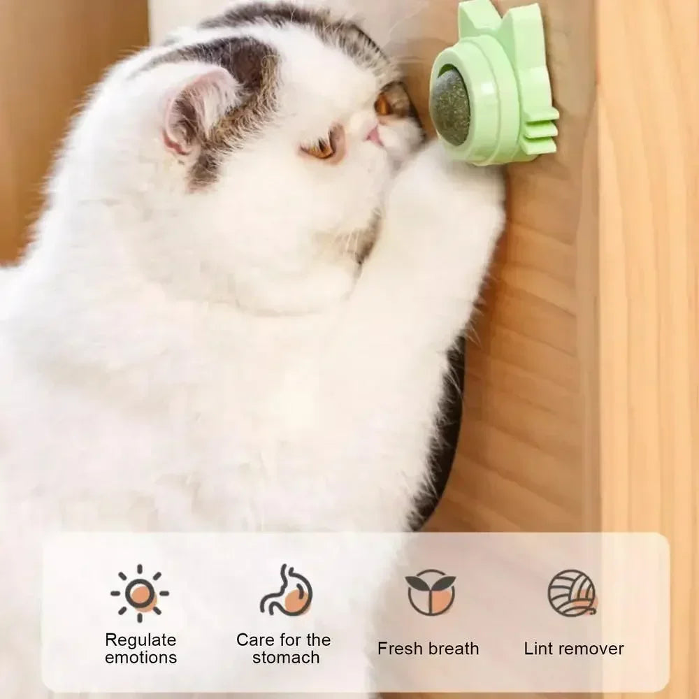 MeowMunch Catnip Ball