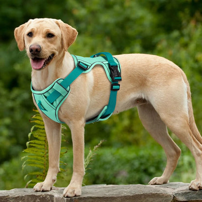 AirFlex Mesh Reflective Dog Harness