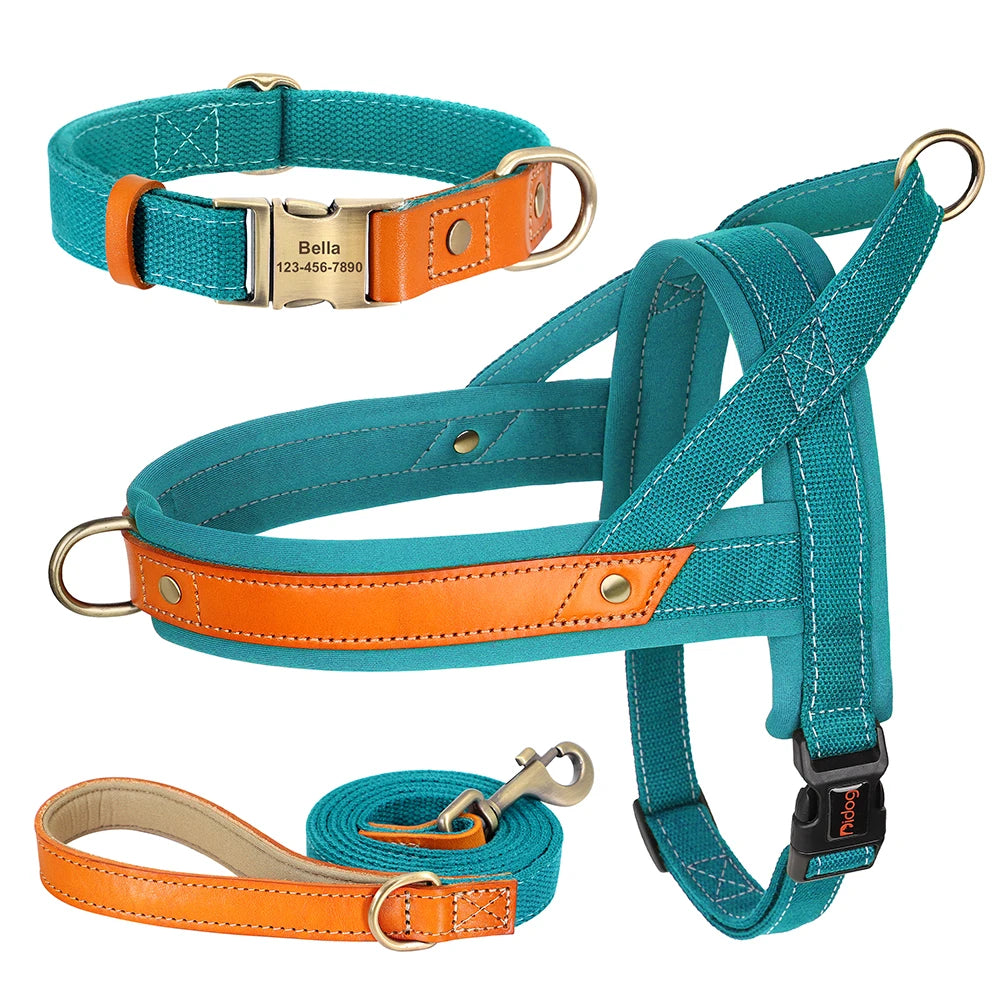 PawFit Nylon Collar, Harness & Leash Set