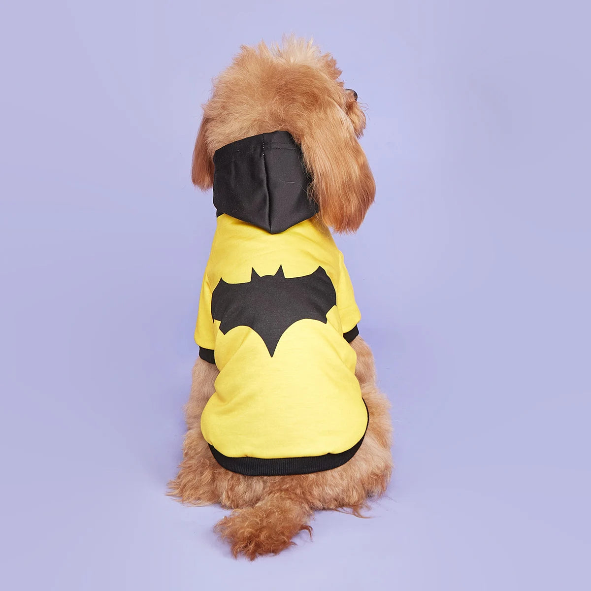 Bat Paw Costume